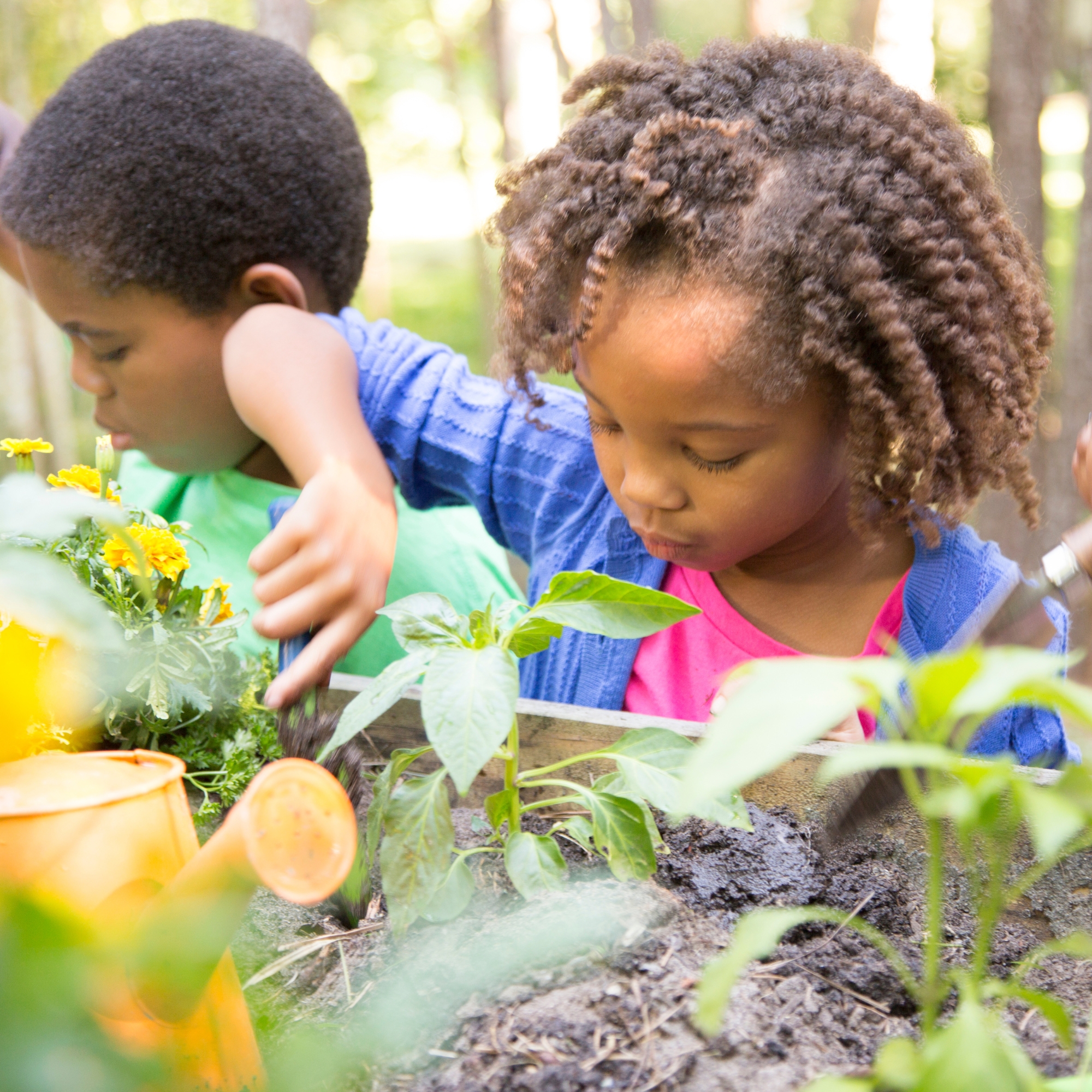 Mains d'enfants dans la terre, jardinage avec des petites plantes